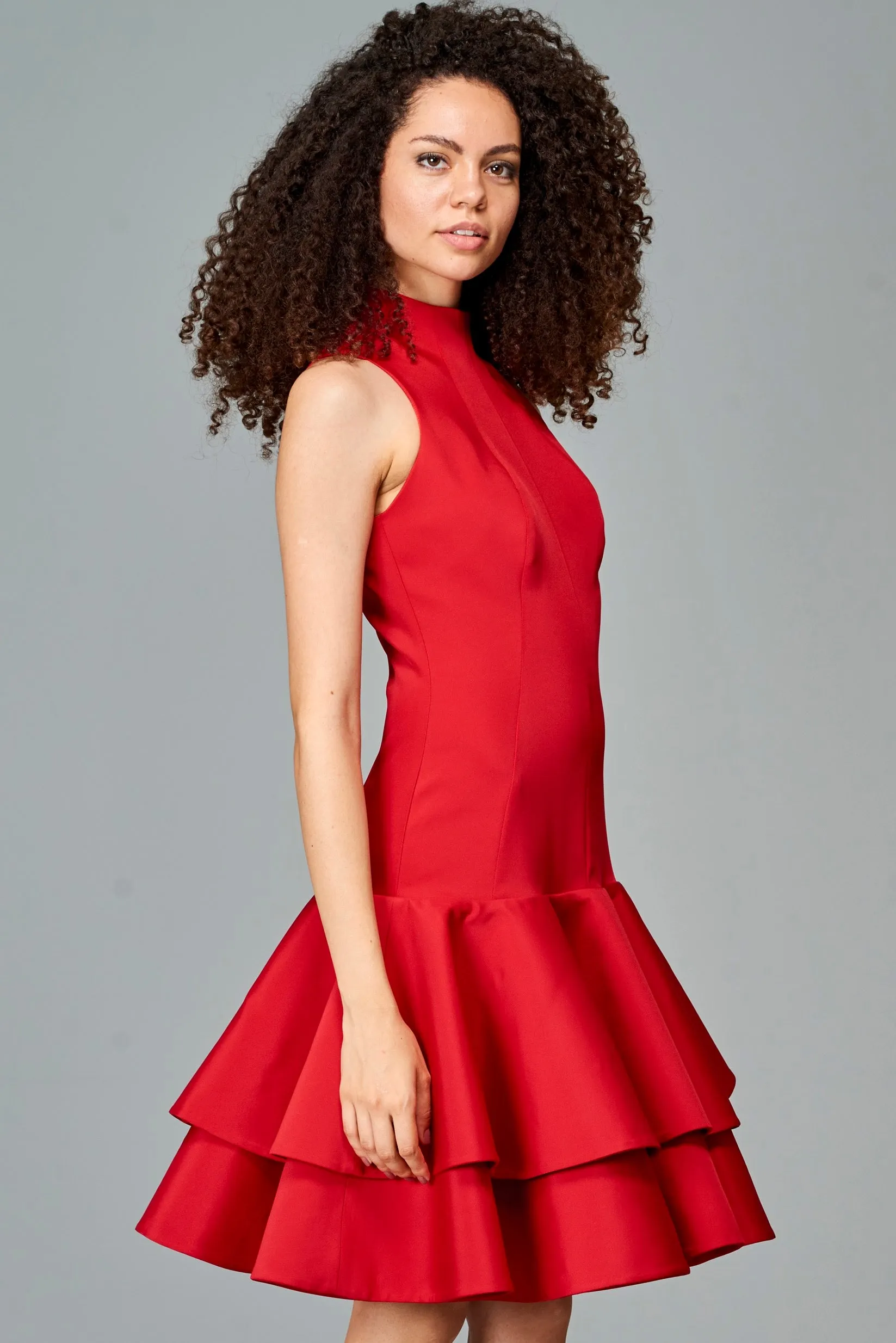 Ruffled Layer Dress