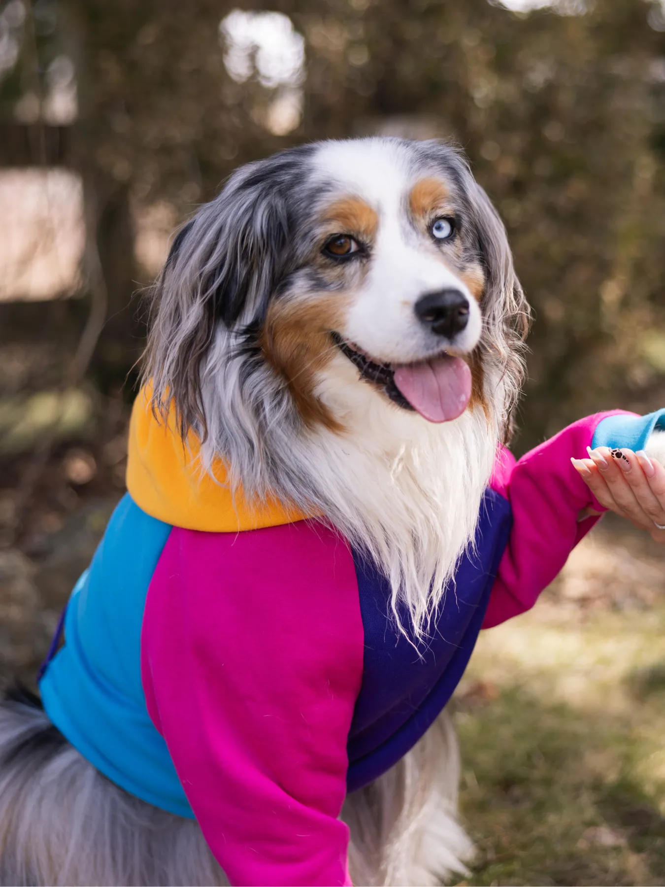 Saved by the Bois 2.0 Dog Hoodie
