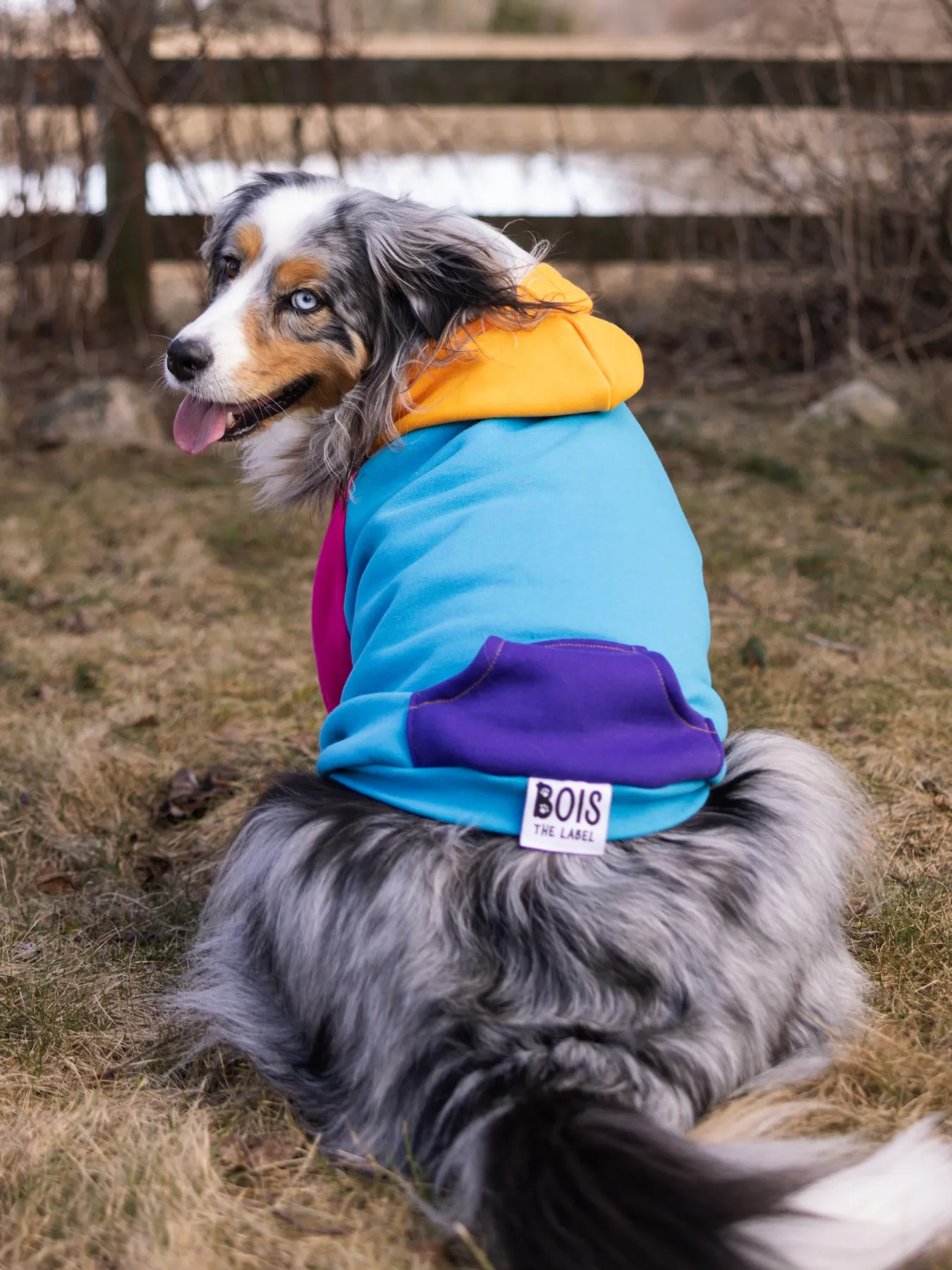 Saved by the Bois 2.0 Dog Hoodie