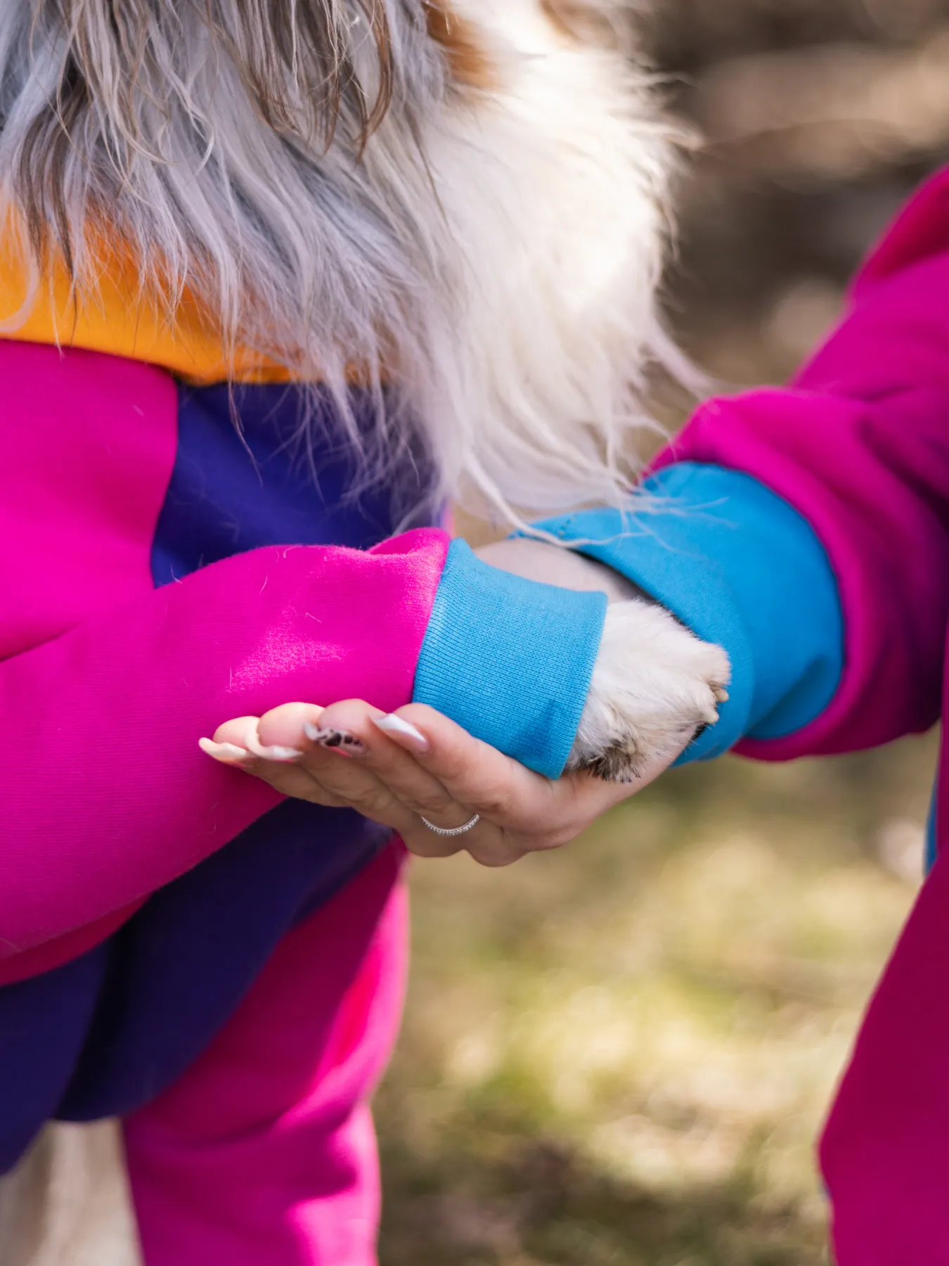 Saved by the Bois 2.0 Dog Hoodie