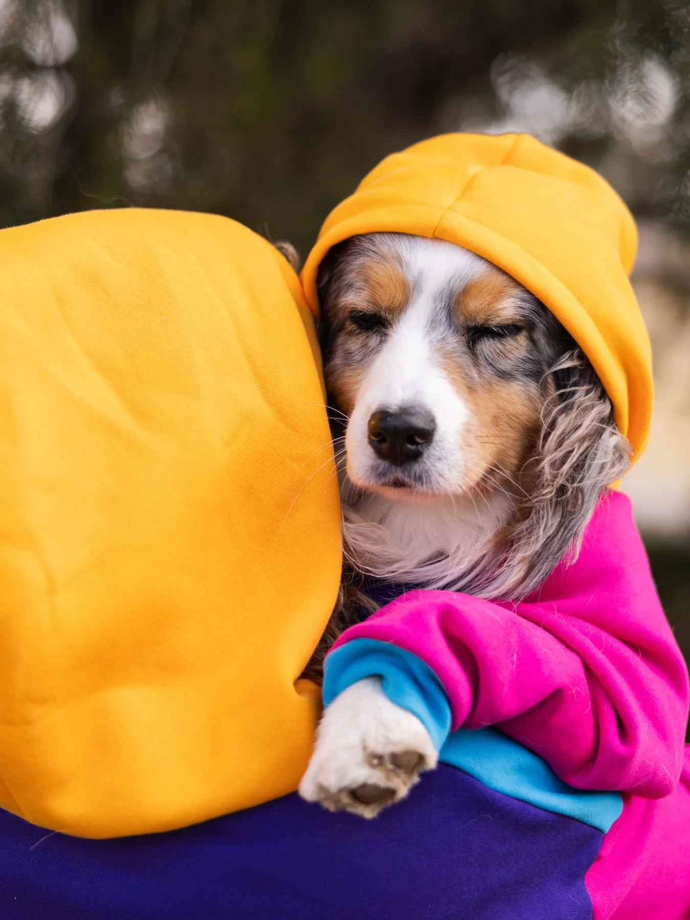 Saved by the Bois 2.0 Dog Hoodie